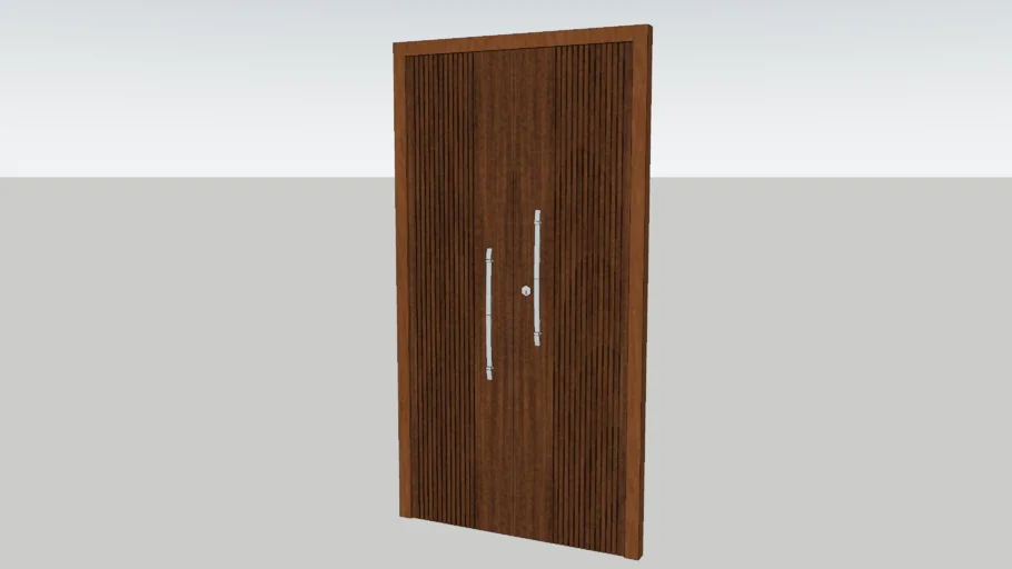 Modern Double Panel door