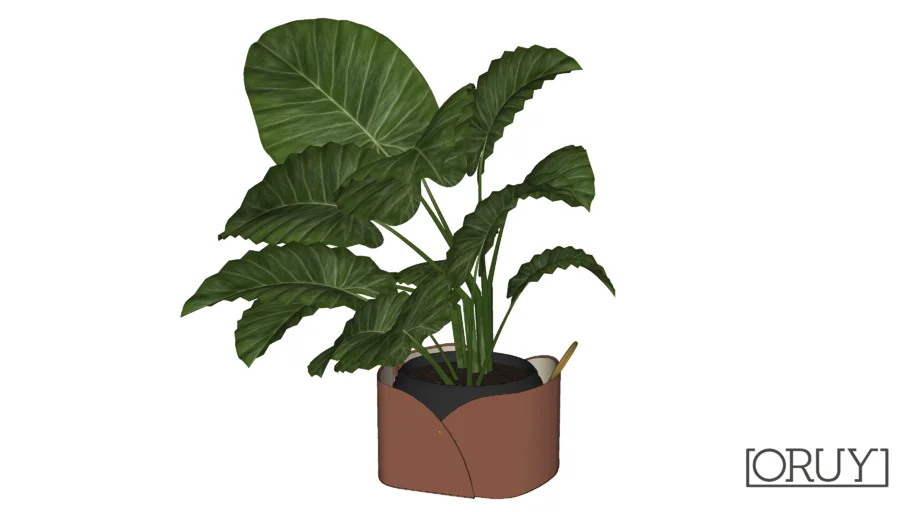 Cachepot Mary Argola M Oruy Paola Cury cachepot planta plant vaso folhagem vegetação