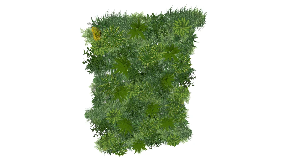 Plant wall onn