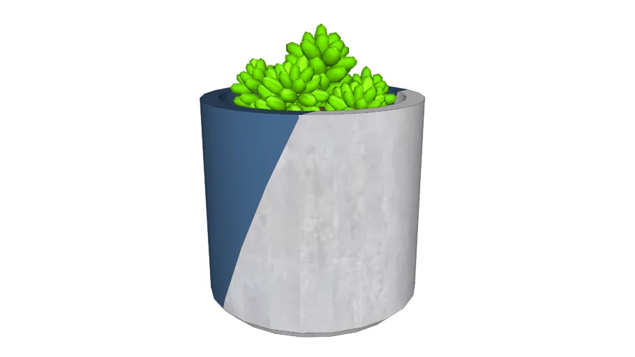 Small Potted Plant