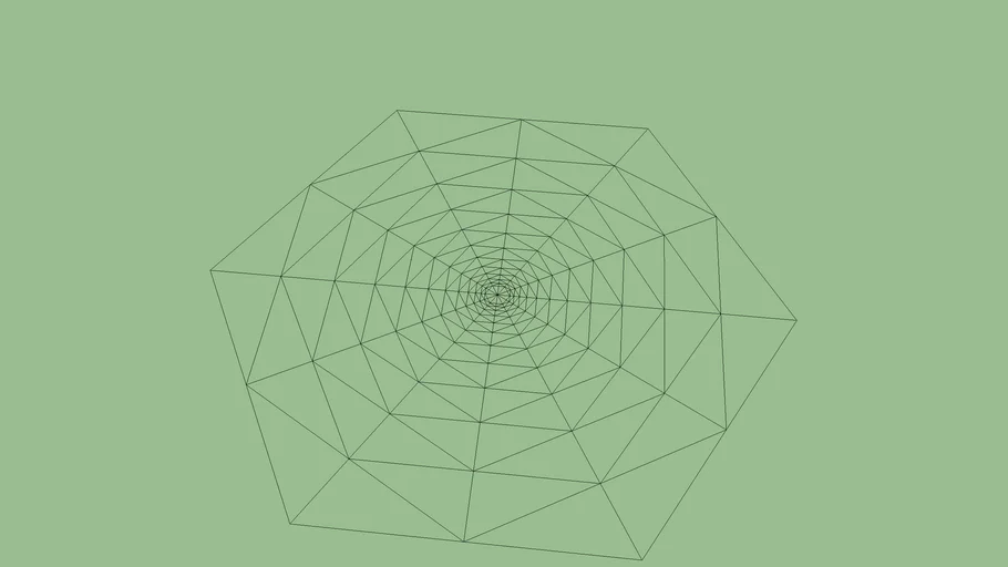 spider web