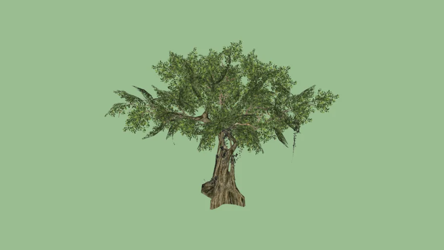 Banyan Tree 3D MODEL - Cây đa