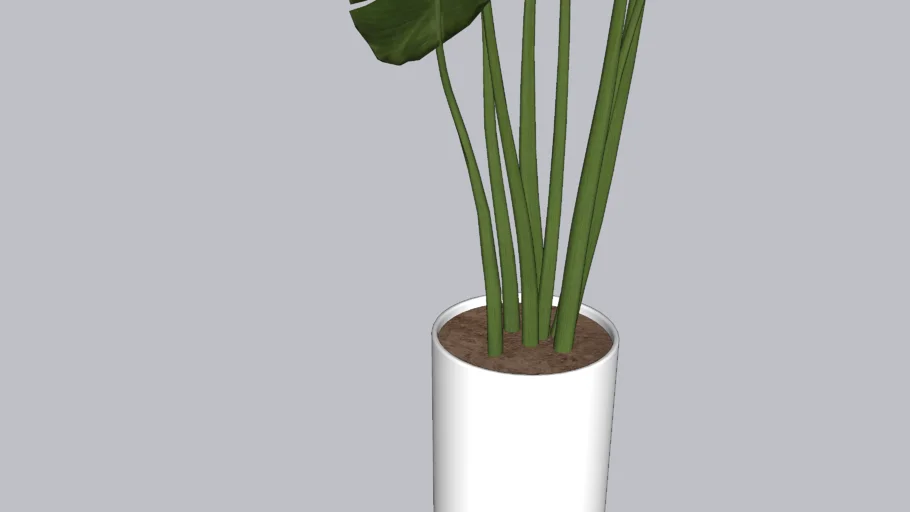 Potted Tropical Plant NEW