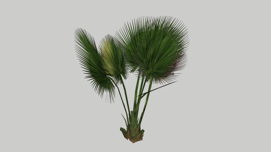 Planta 5