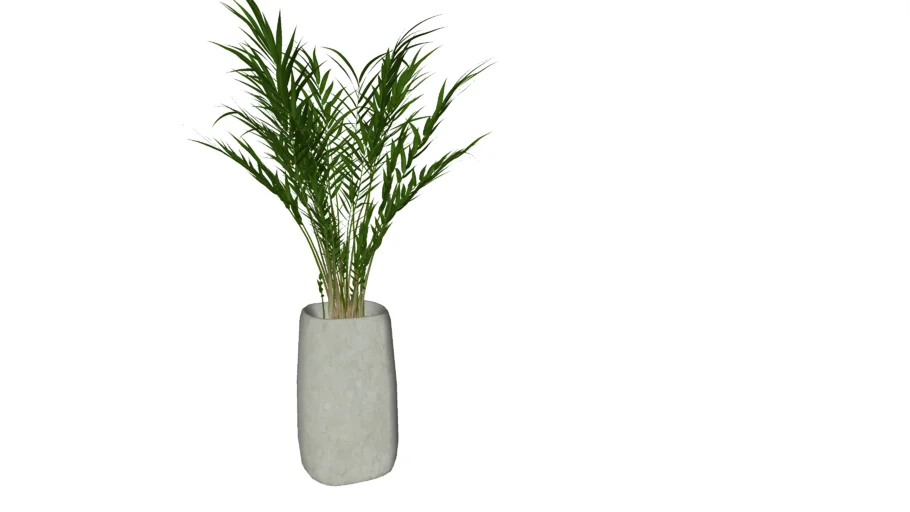 OUTDOOR PLANT / POT PLANT / POTS / BAMBOO PLANT / OUTDOOR POT /