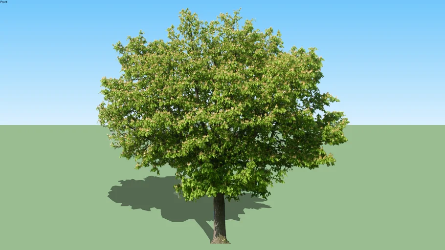 ARVORE