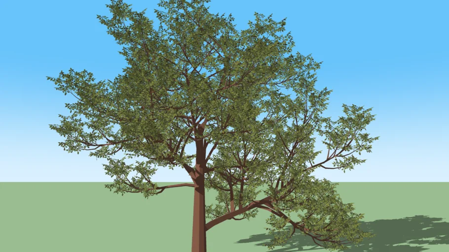 Large tree very detailed (low poly version)