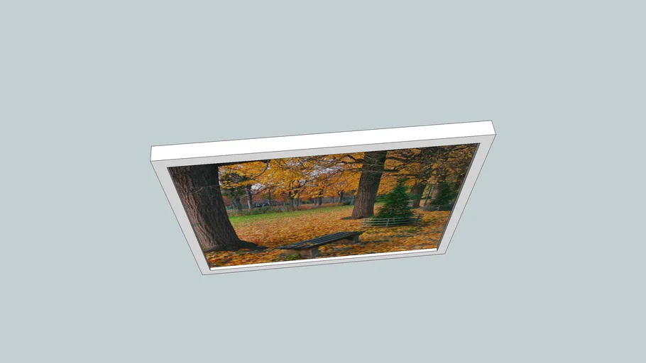QUADRO NATUREZA 04