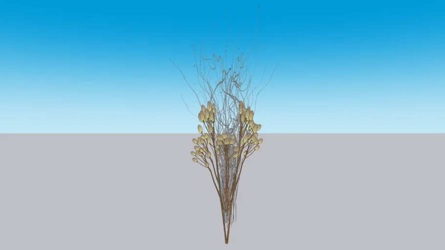 Vase Thearender