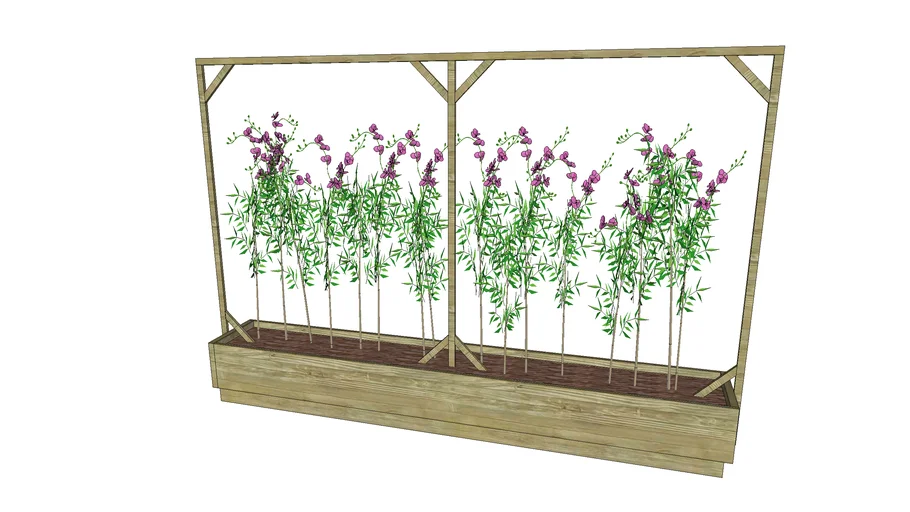 orchid garden bed