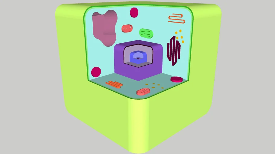 Cell | 3D Warehouse