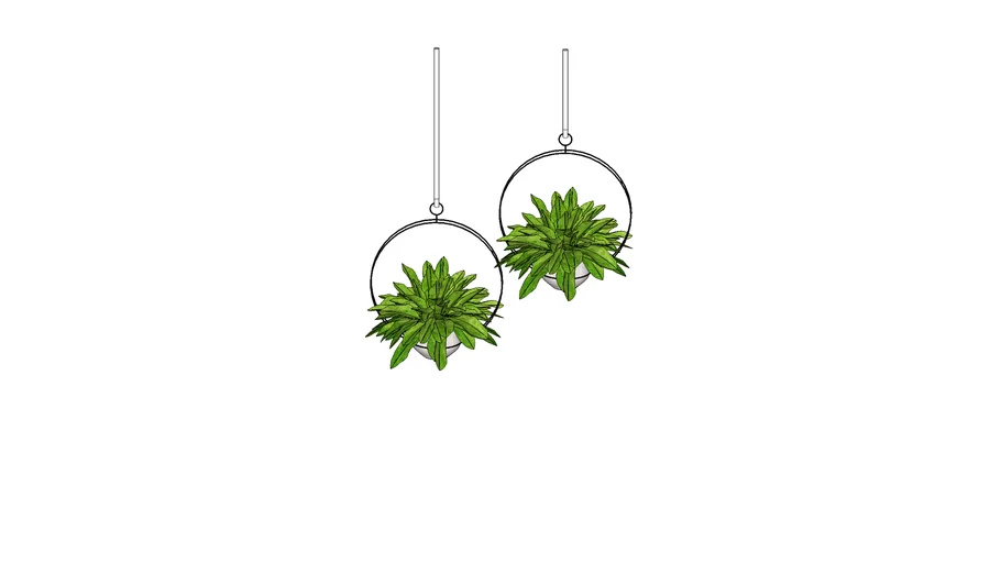 Planta tanaman pot 6
