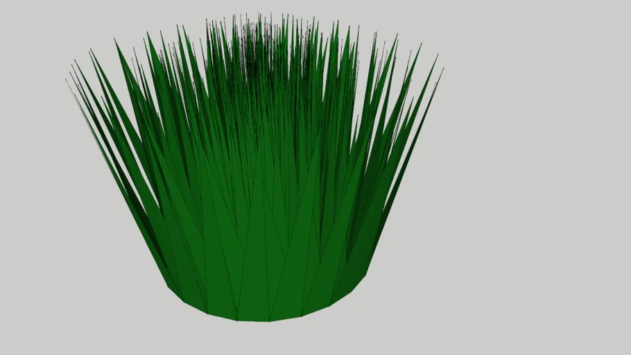 Grass Plant