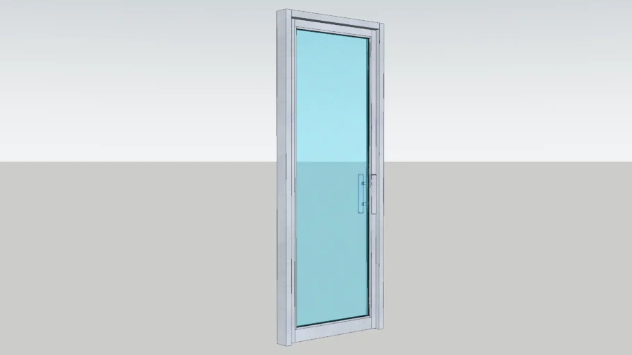 Swing Door