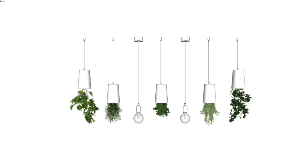 Hanging Plants
