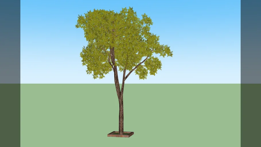 Tree_N-E | 3D Warehouse