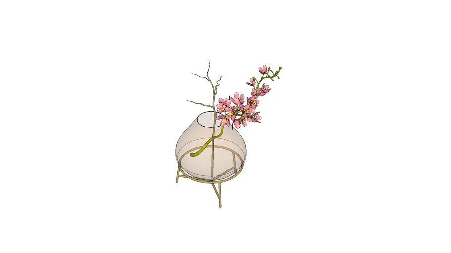 Cachepot de Vidro com Orquideas Mush - Studio Sollos