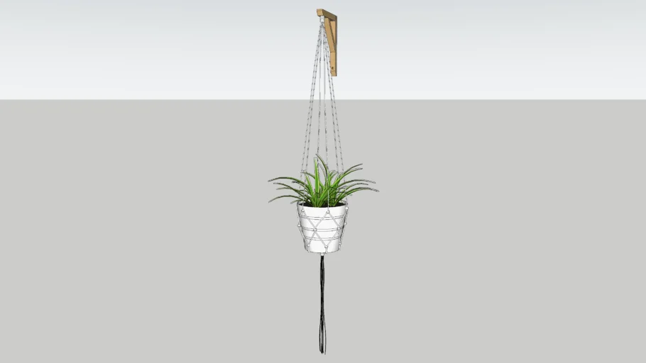 plant HANGING SANDSHULT