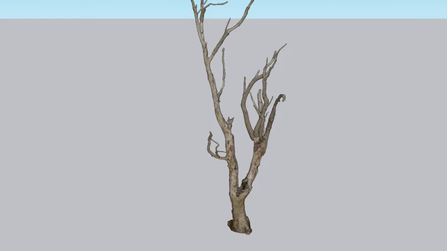 Dead Tree Vray