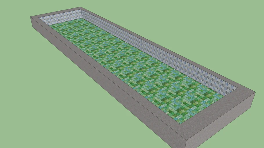 Lap Pool