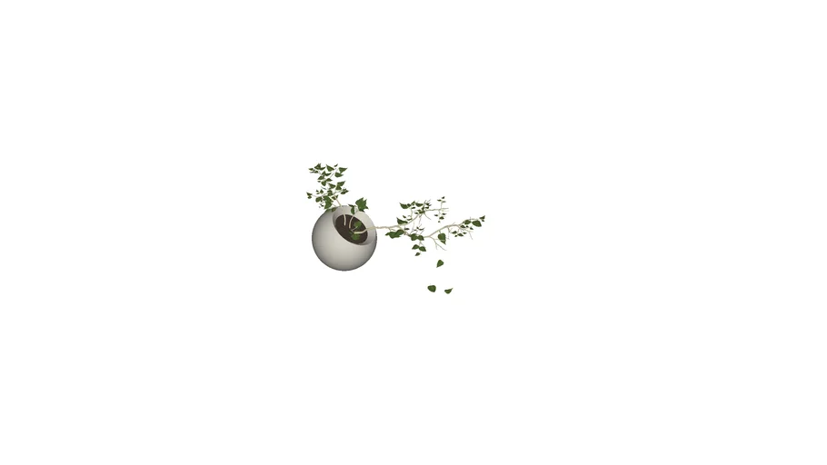PLANT POT