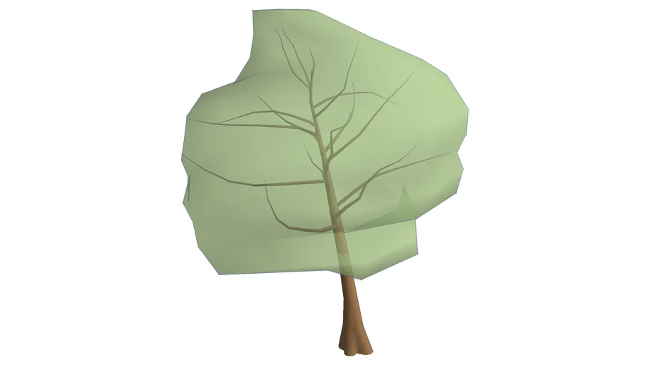 tree transparent canopy