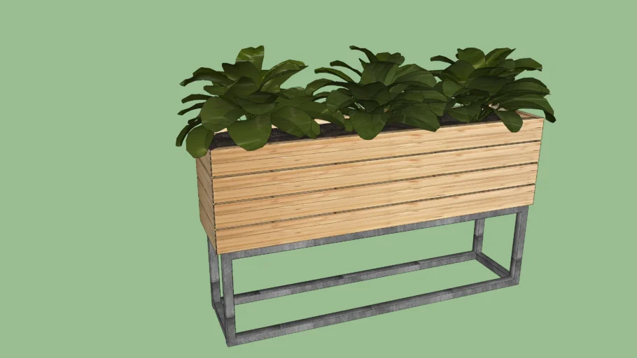 Indoor Plant 