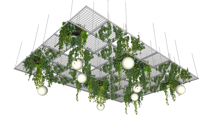 Hanging light with Haning Plant