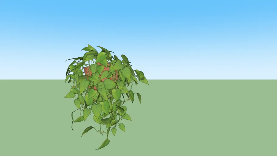 PLANTA PENDENTE