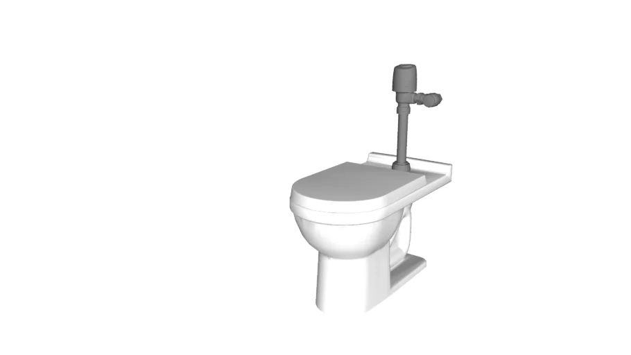 Sanitario con fluxometro 