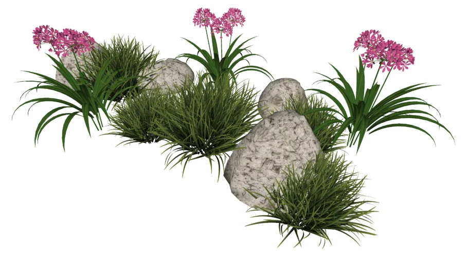 plant