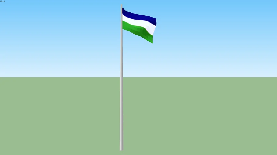 Molossia flag on pole