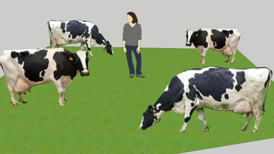 cow 2D foto
