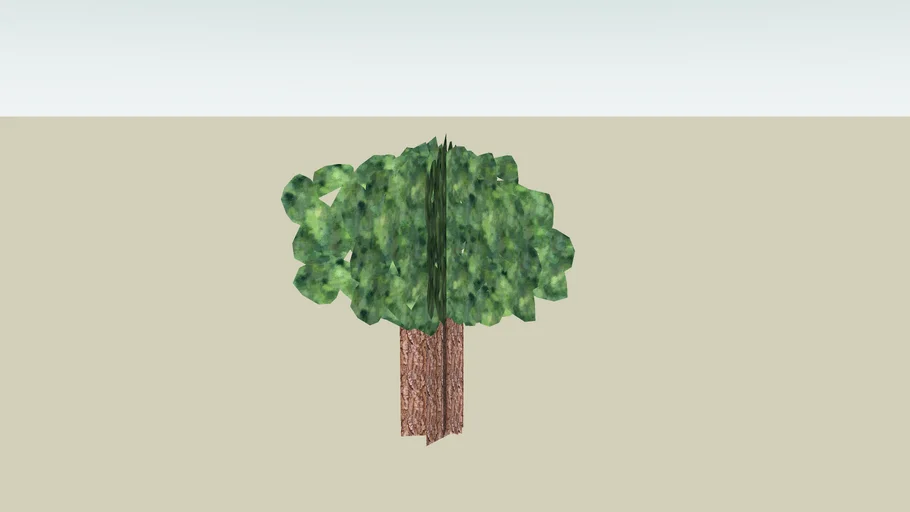 Basic Tree