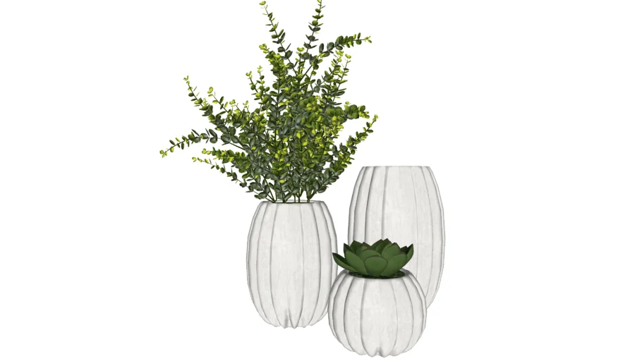 Conjunto Vaso com planta 3