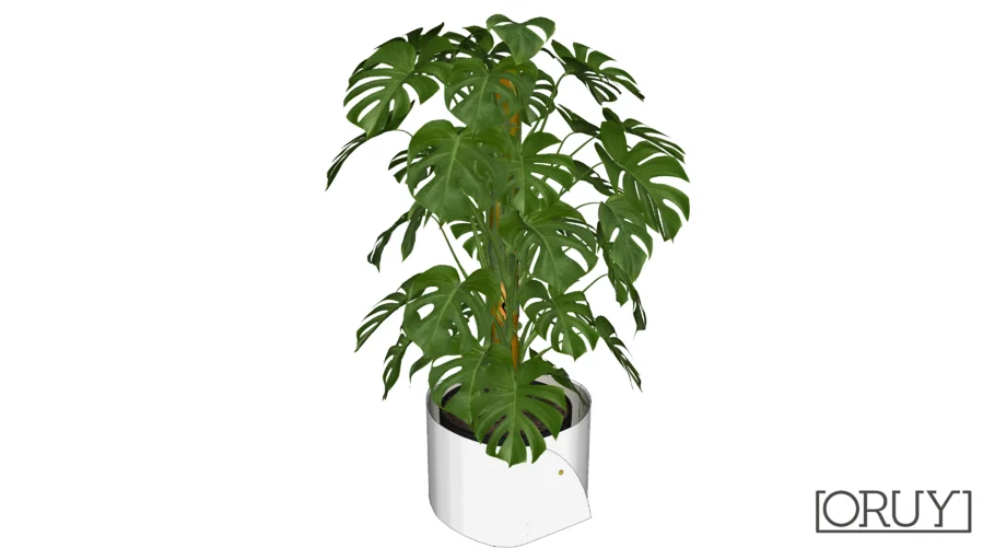 Cachepot Mary G Oruy Paola Cury cachepot planta plant vaso folha folhagem vegetação