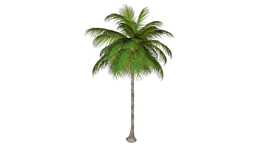 plantas