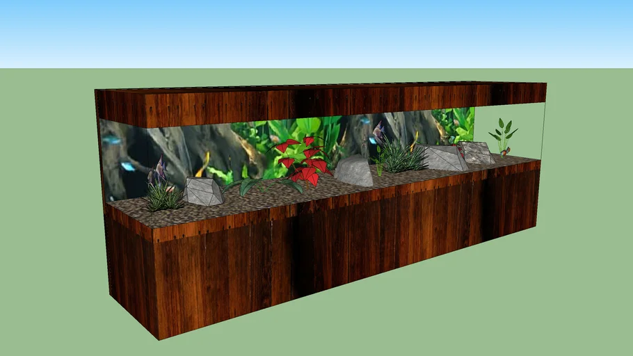Large Freshwater Aquarium
