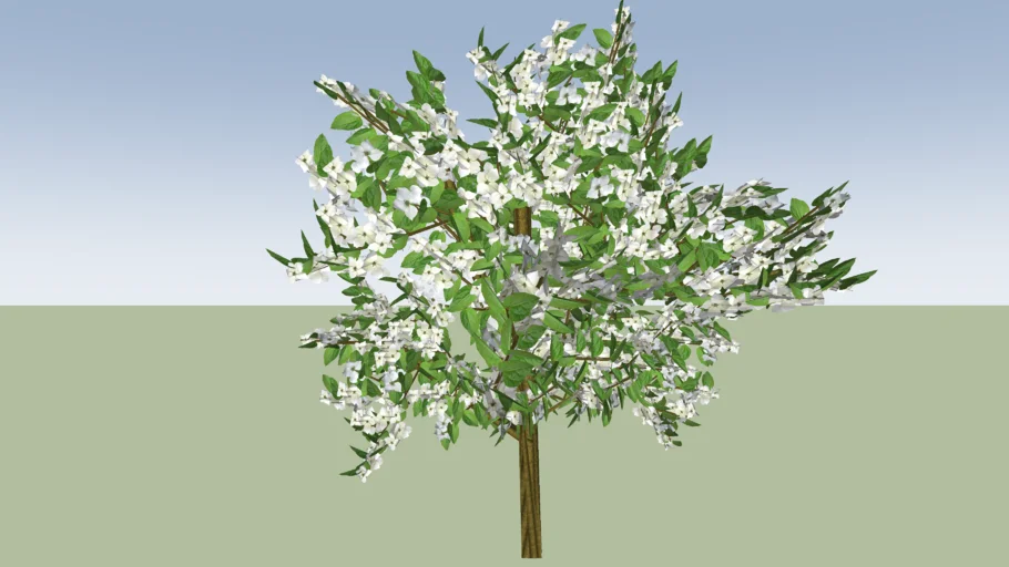 ARBRE