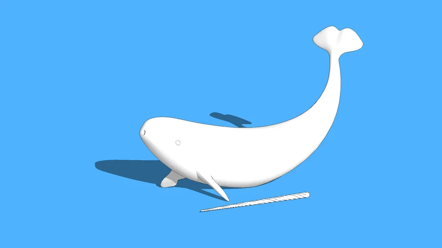 Narwhal