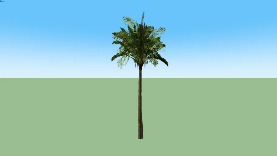 tree 2d