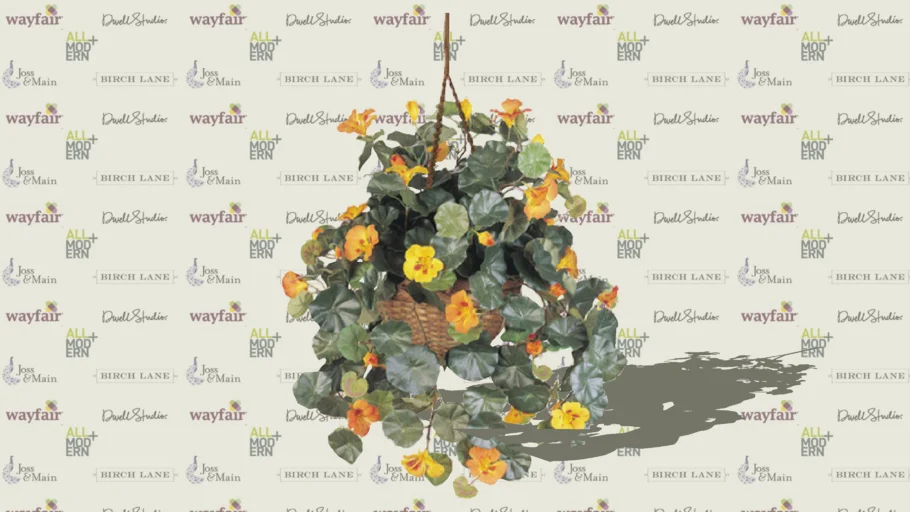 Floral-Hanging Nasturtium