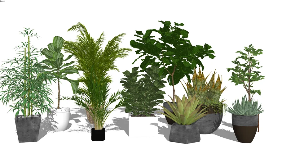 Potted Plants Collection 2