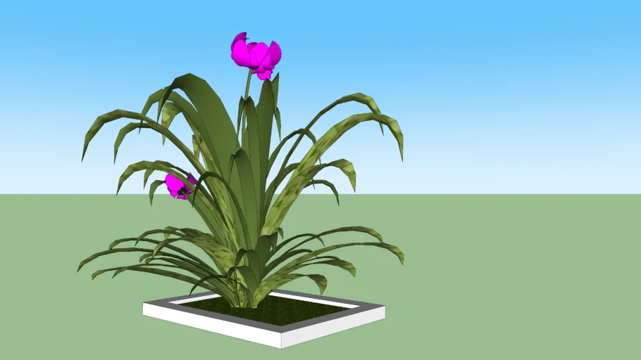 Flowers, garden, landscape