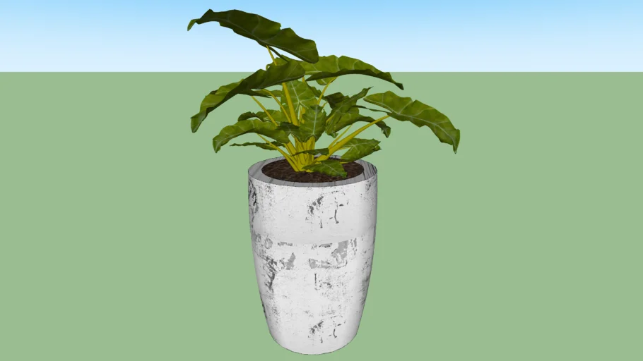 vaso vietnamita 