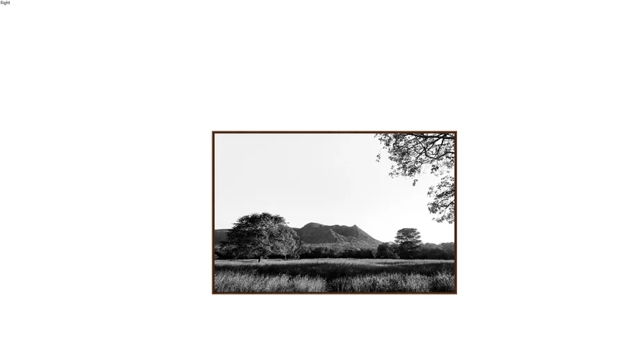 Quadro preto e branco natureza árvore montanha - @yasminenery.art