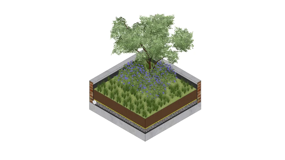 Intensive Green Roofs (Cubierta Vegetal Intensiva)