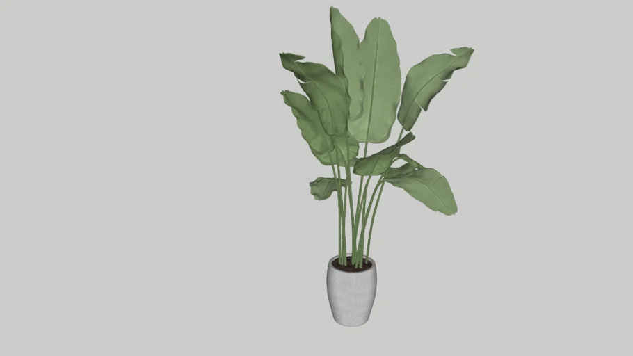 VASO COM BANANEIRA DE JARDIM