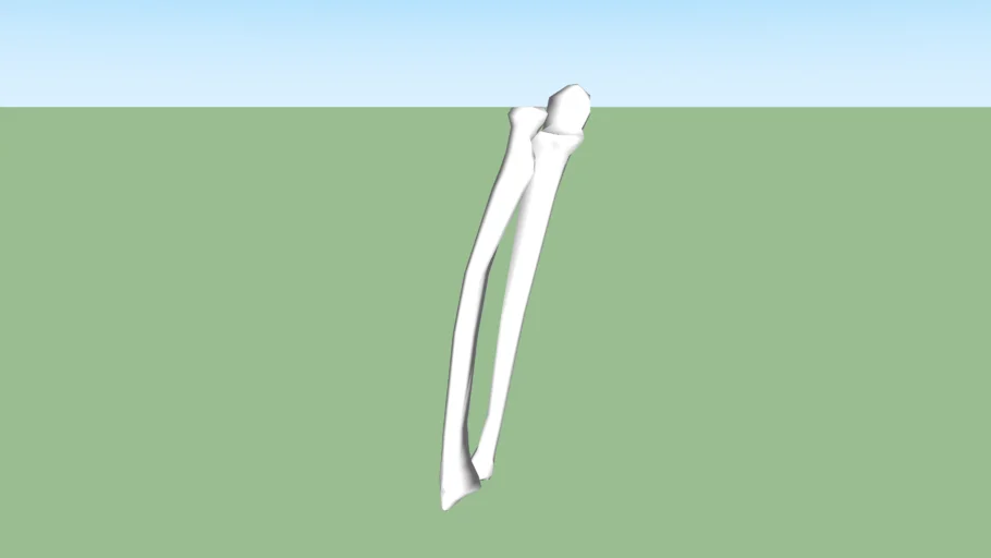 The radius {Left}