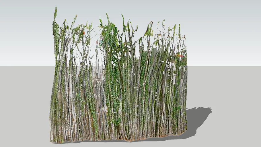 Ocotillo Fencing
